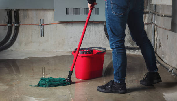 Best Water damage cleanup near me  in Haynesville, LA