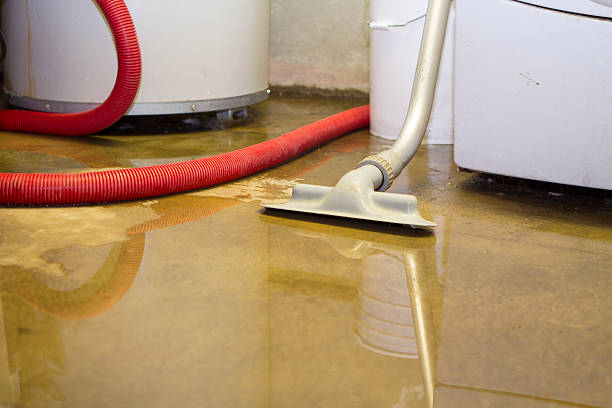 Reliable Haynesville, LA Water damage restoration Solutions