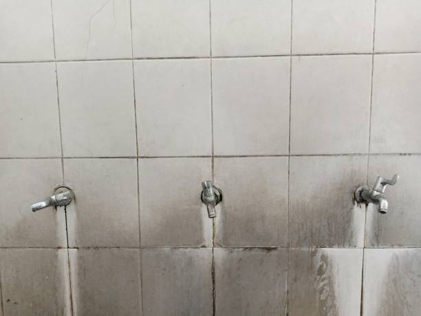 Best Mold removal after water damage  in Haynesville, LA