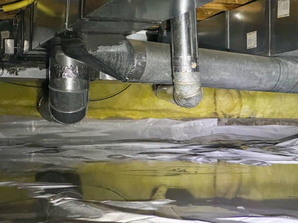 Water damage restoration mold remediation in Haynesville, LA