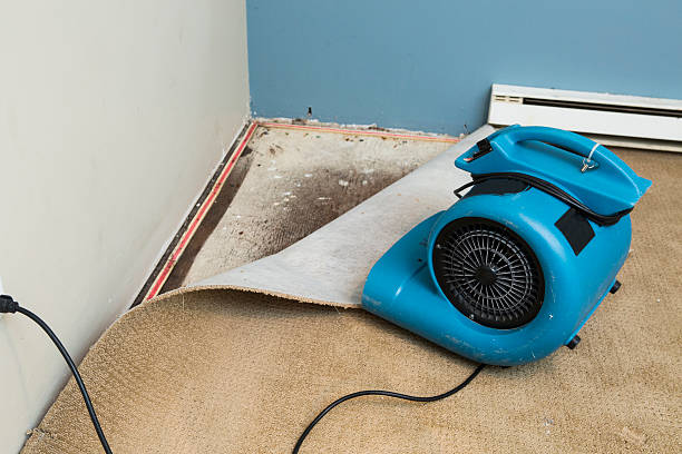 Best Ceiling water damage repair  in Haynesville, LA